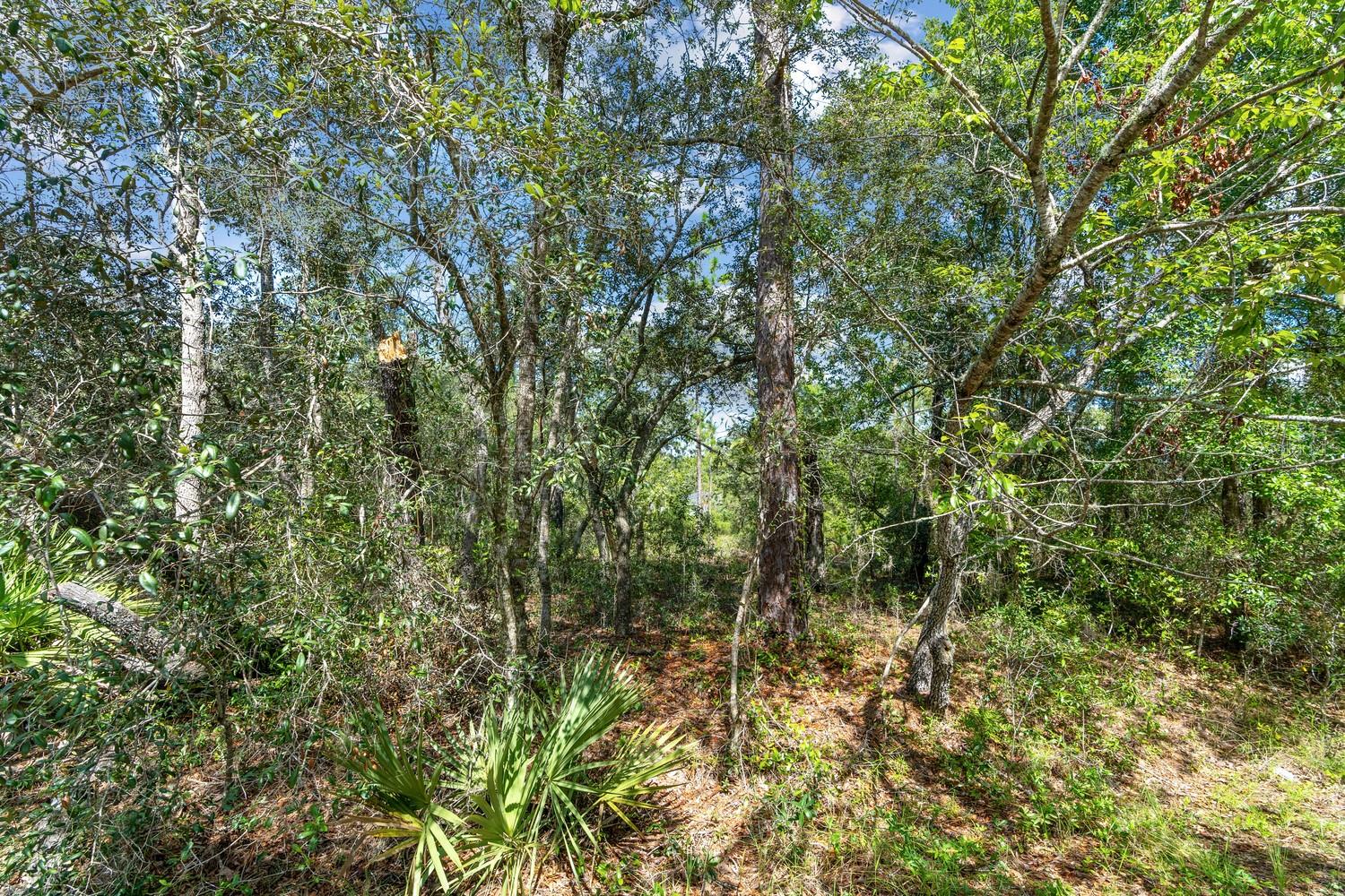 0024 GUAVA PASS DR, OCKLAWAHA, FL, 32179