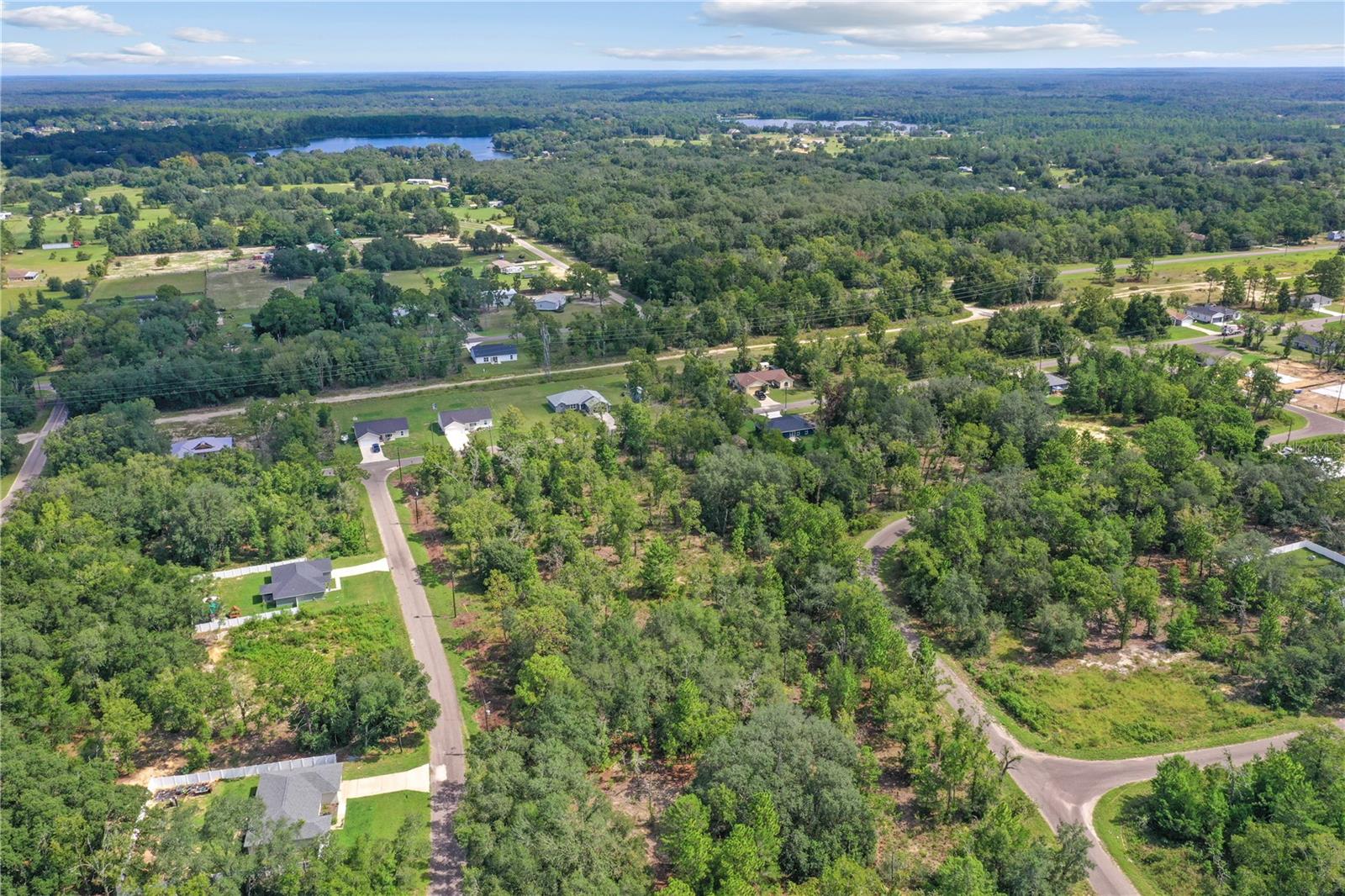 0024 GUAVA PASS DR, OCKLAWAHA, FL, 32179