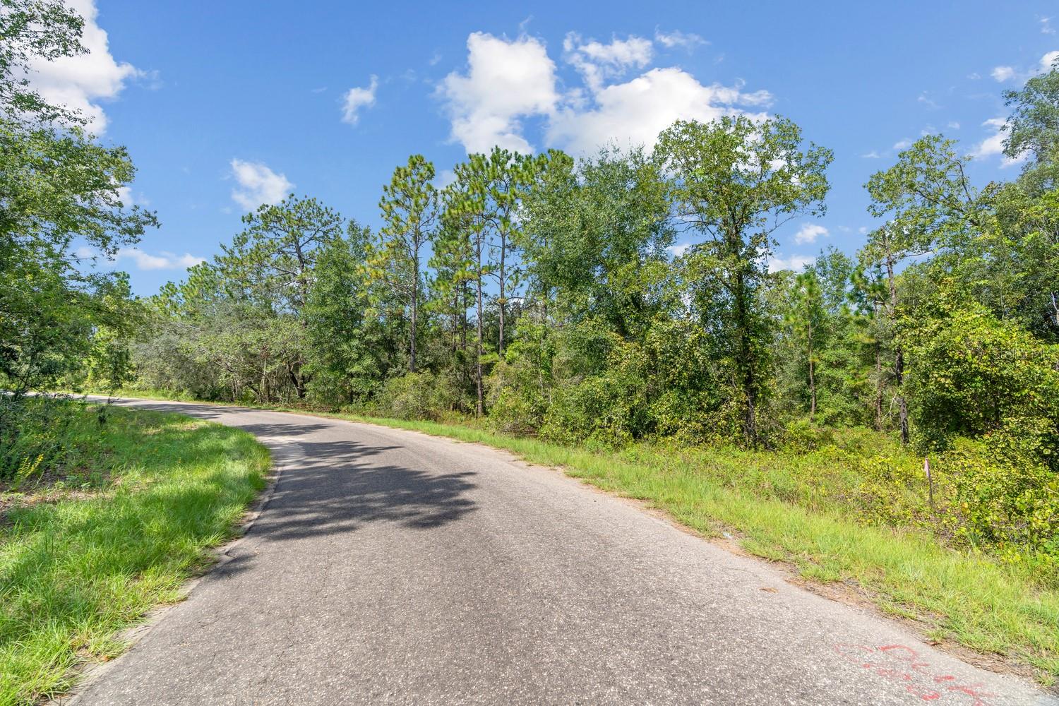 0024 GUAVA PASS DR, OCKLAWAHA, FL, 32179