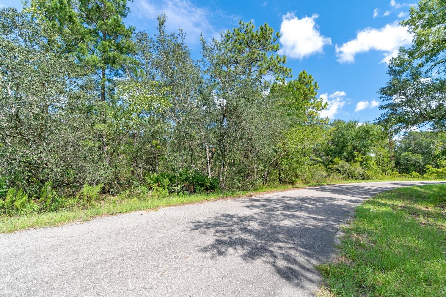 0024 GUAVA PASS DR, OCKLAWAHA, FL, 32179