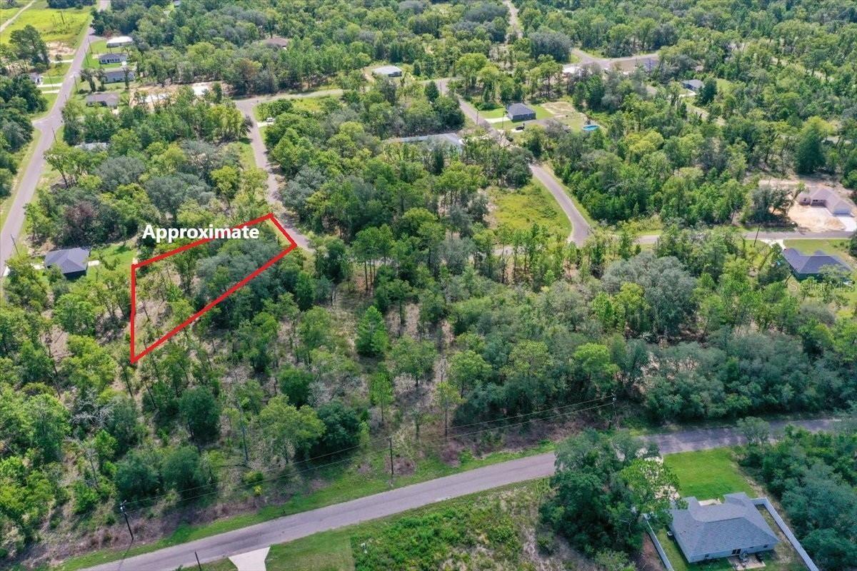 0024 GUAVA PASS DR, OCKLAWAHA, FL, 32179