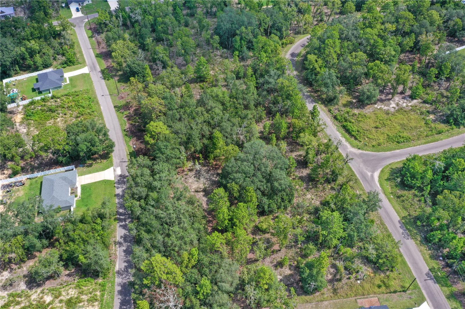 0024 GUAVA PASS DR, OCKLAWAHA, FL, 32179