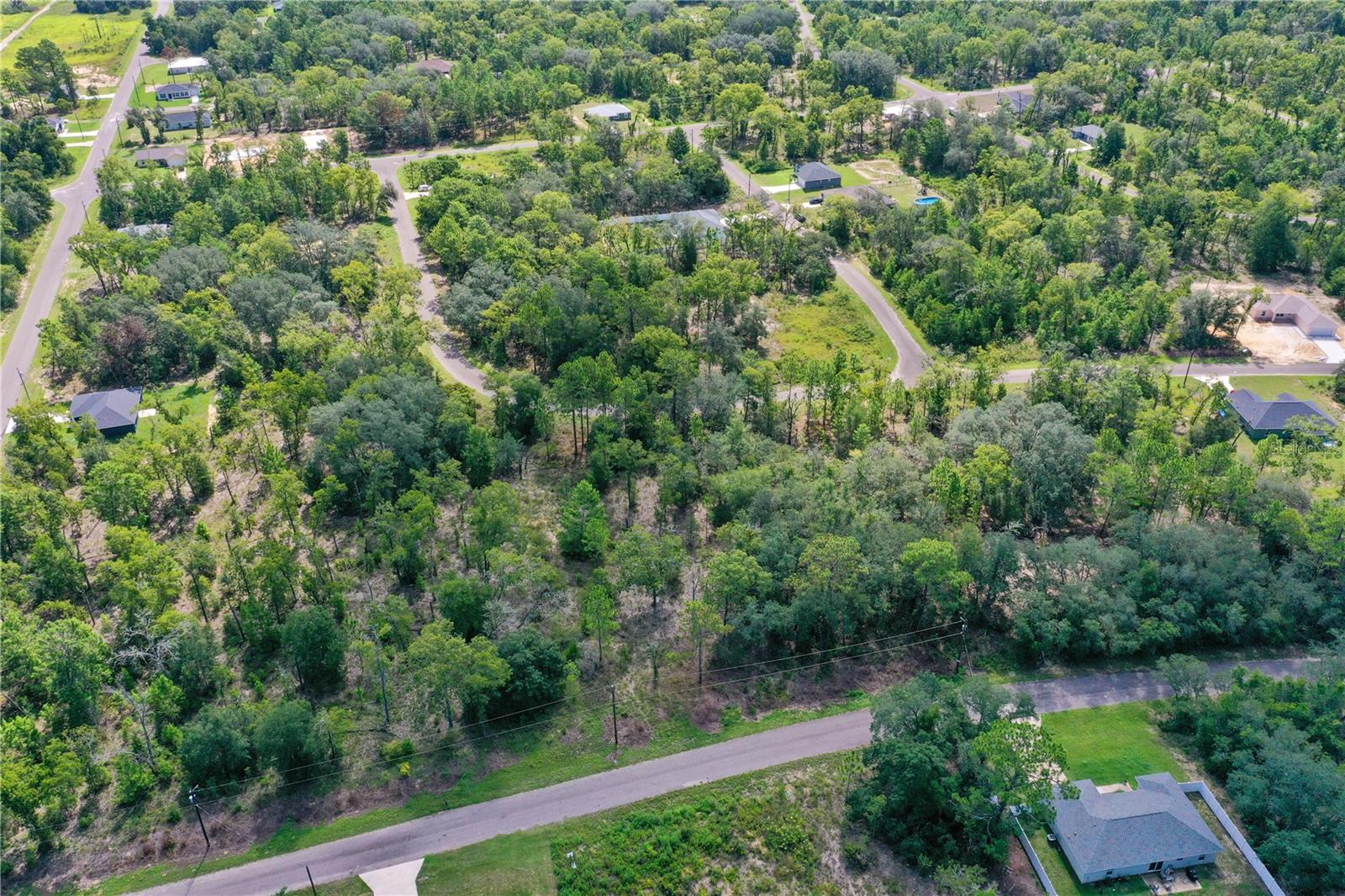 0024 GUAVA PASS DR, OCKLAWAHA, FL, 32179