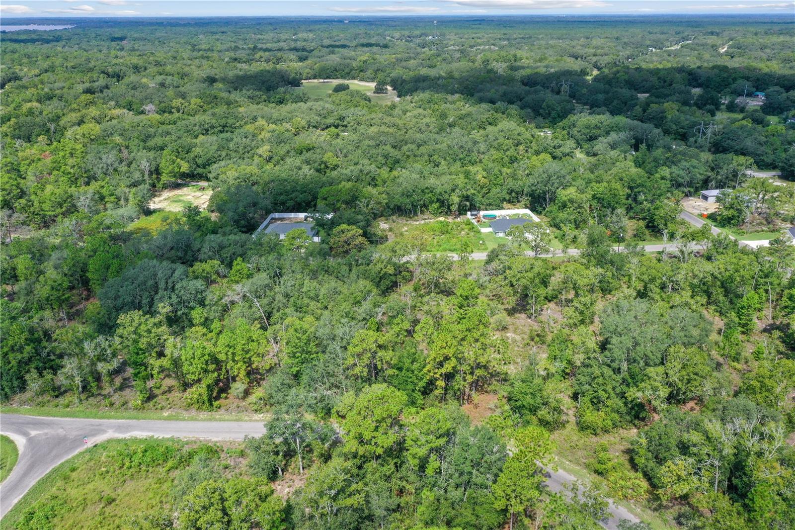 0024 GUAVA PASS DR, OCKLAWAHA, FL, 32179