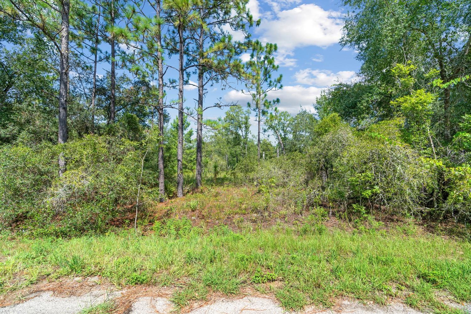 0024 GUAVA PASS DR, OCKLAWAHA, FL, 32179