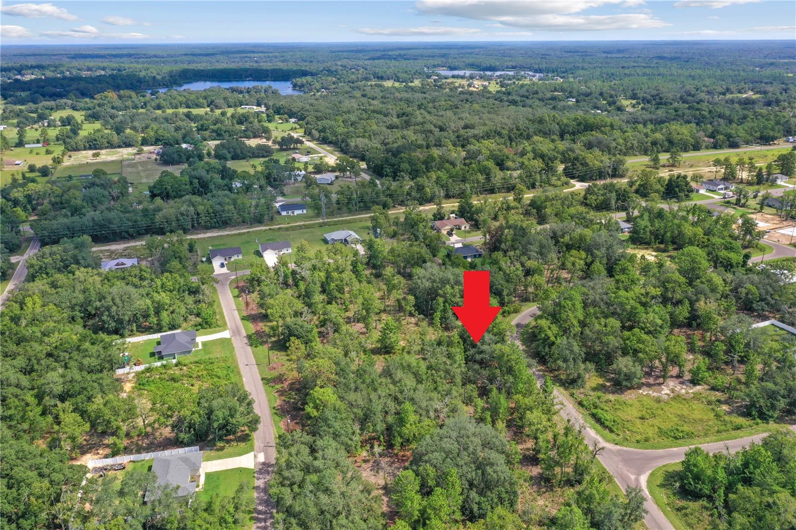 0024 GUAVA PASS DR, OCKLAWAHA, FL, 32179