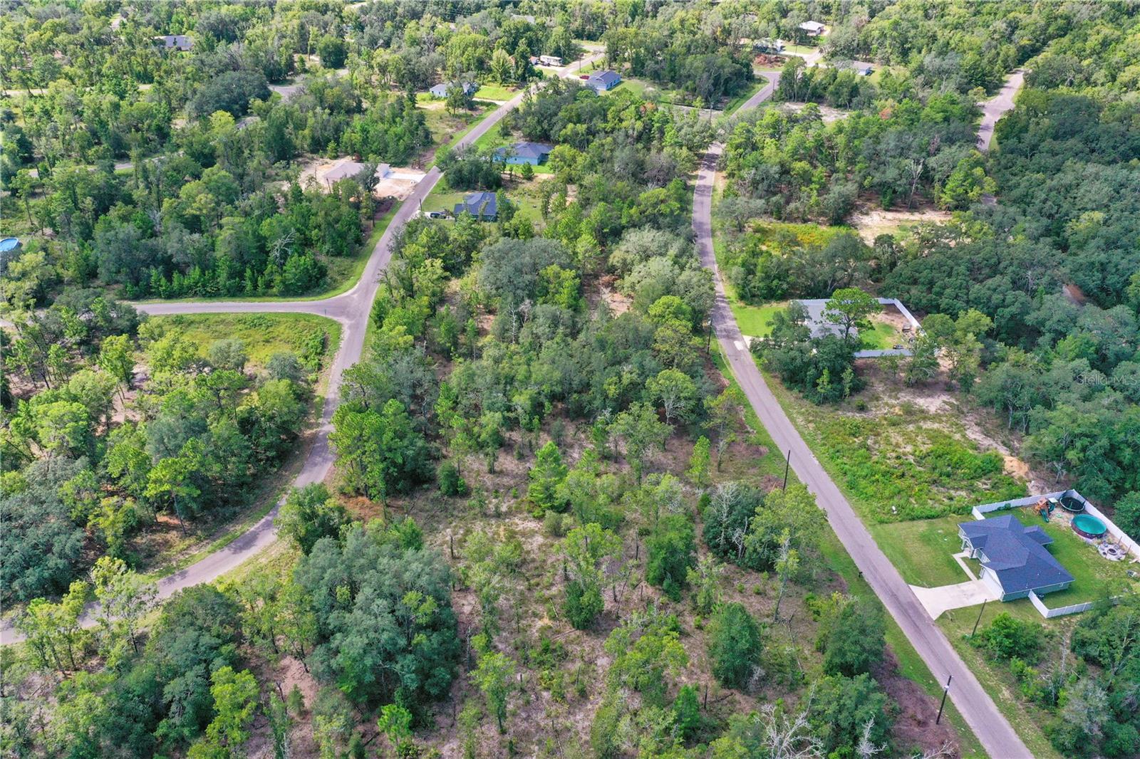 0024 GUAVA PASS DR, OCKLAWAHA, FL, 32179