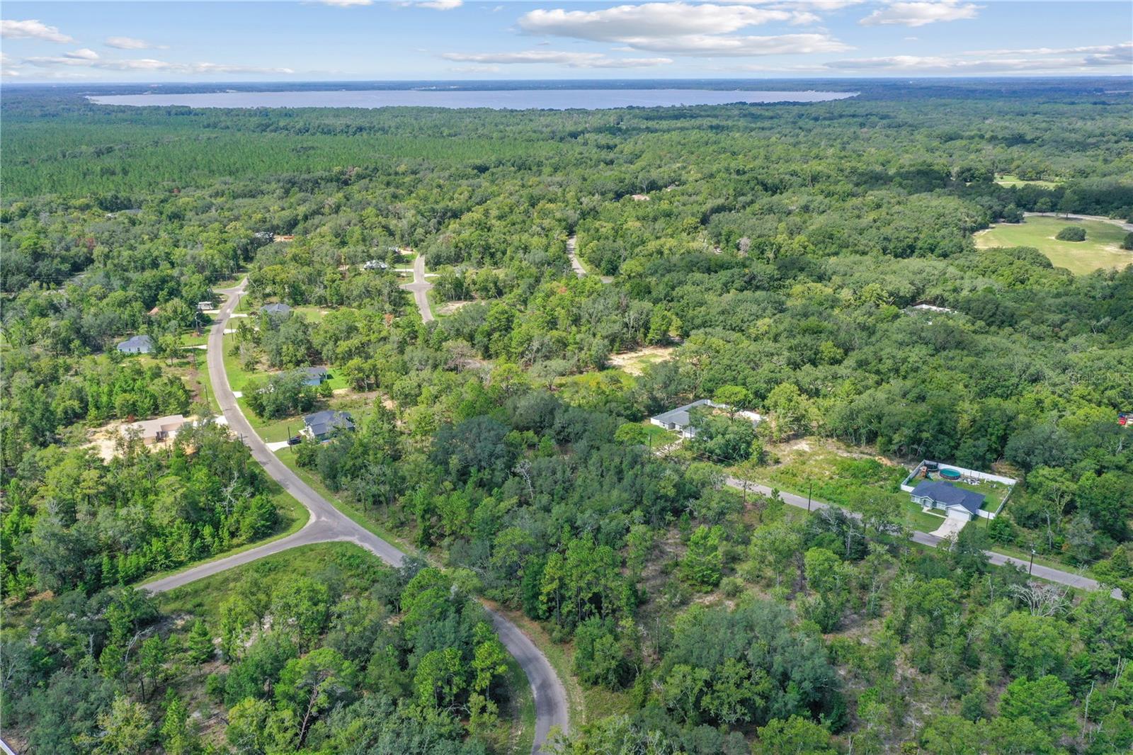 0024 GUAVA PASS DR, OCKLAWAHA, FL, 32179