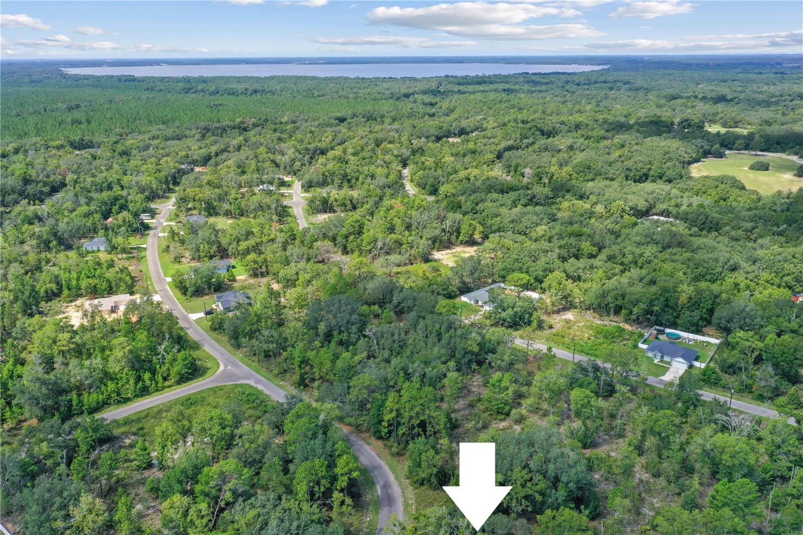 0024 GUAVA PASS DR, OCKLAWAHA, FL, 32179