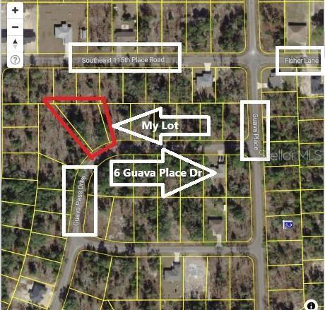 0024 GUAVA PASS DR, OCKLAWAHA, FL, 32179