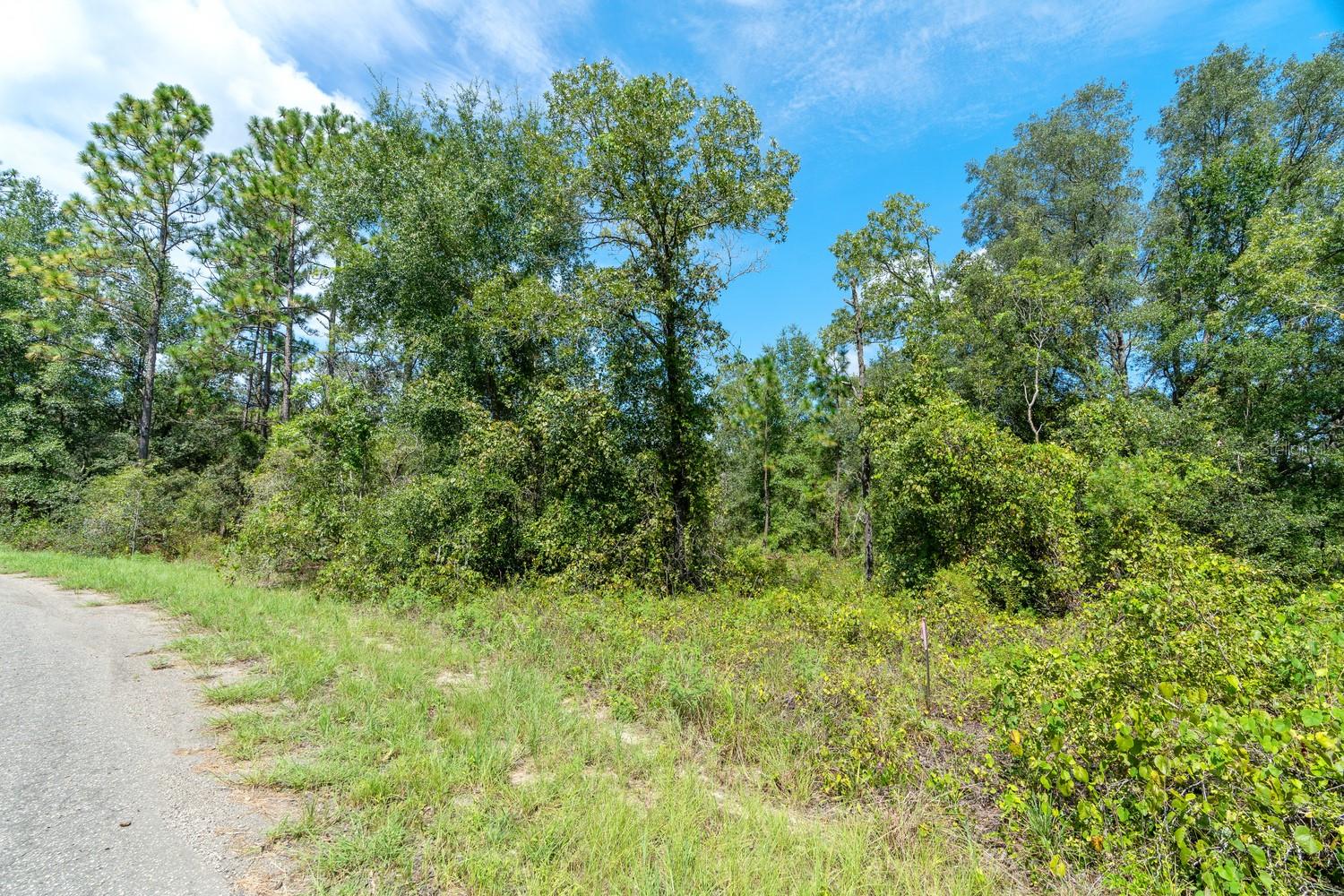 0024 GUAVA PASS DR, OCKLAWAHA, FL, 32179