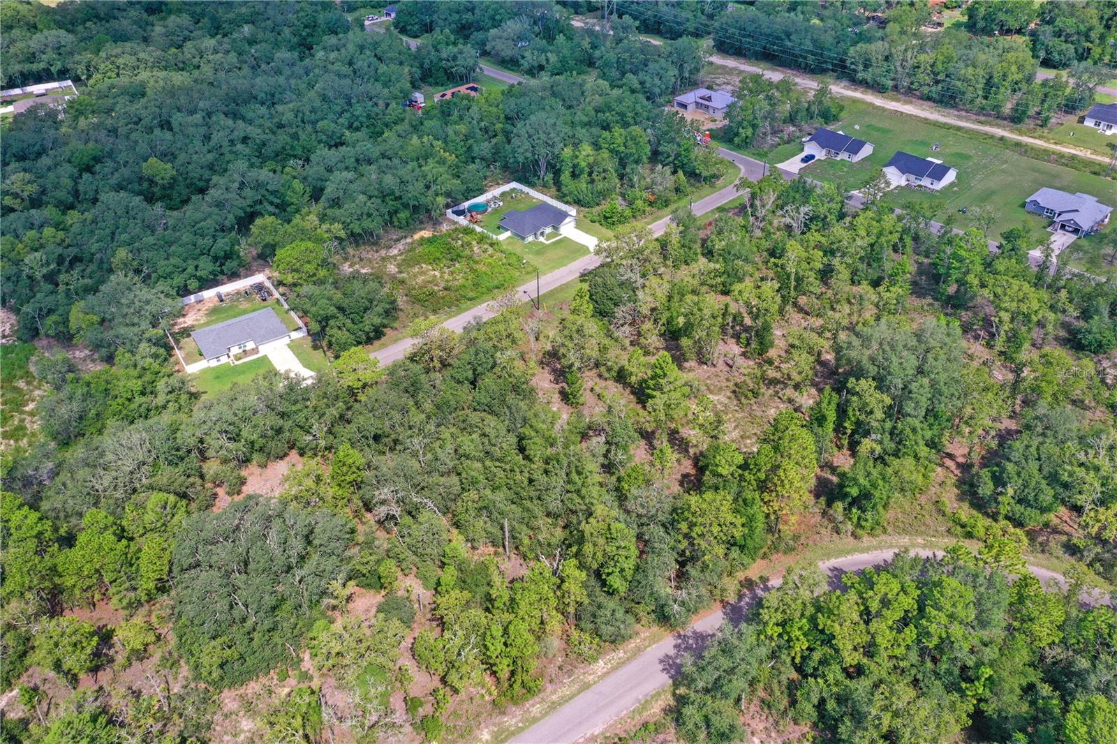 0024 GUAVA PASS DR, OCKLAWAHA, FL, 32179