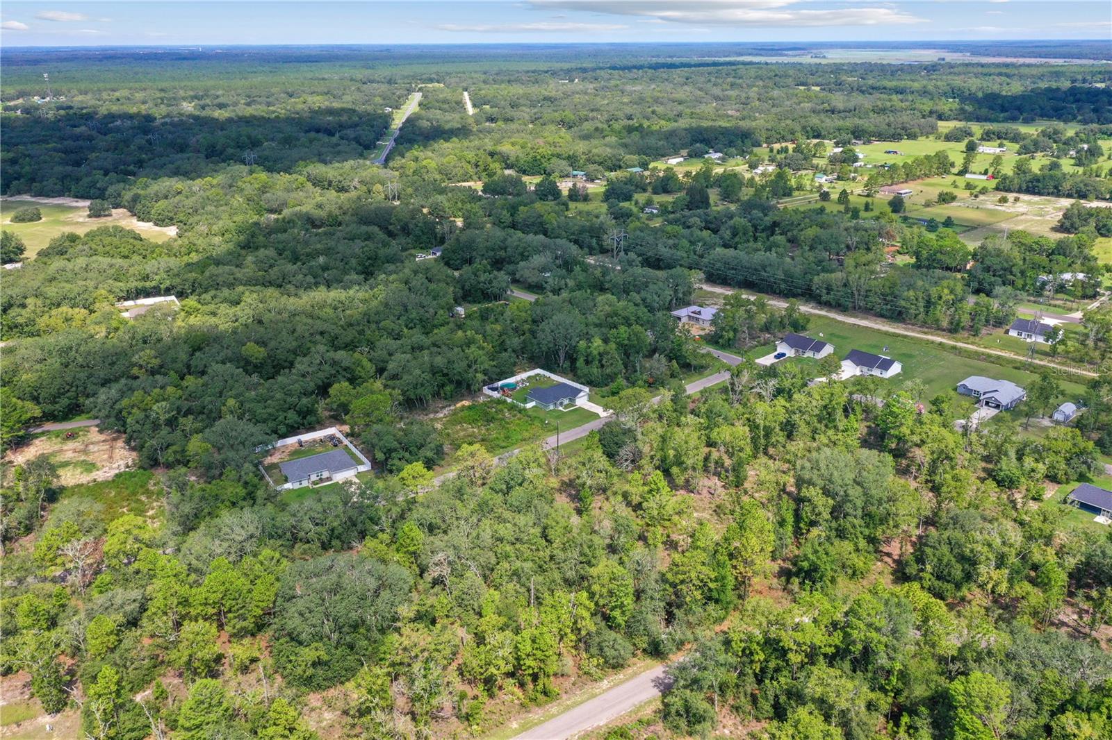 0024 GUAVA PASS DR, OCKLAWAHA, FL, 32179