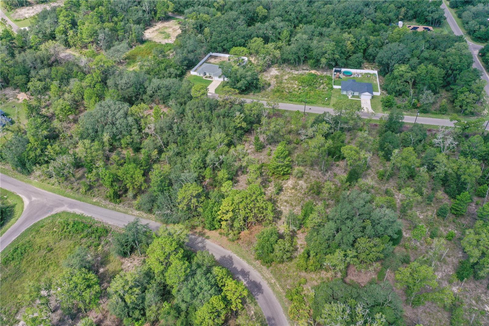 0024 GUAVA PASS DR, OCKLAWAHA, FL, 32179