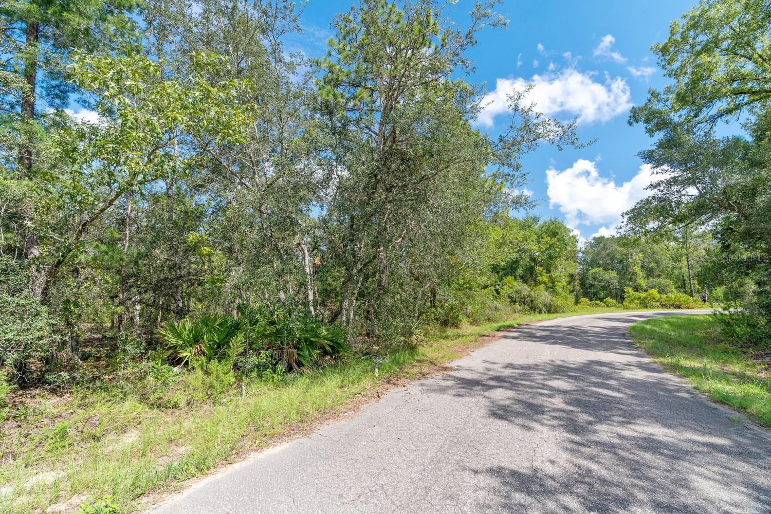 0024 GUAVA PASS DR, OCKLAWAHA, FL, 32179