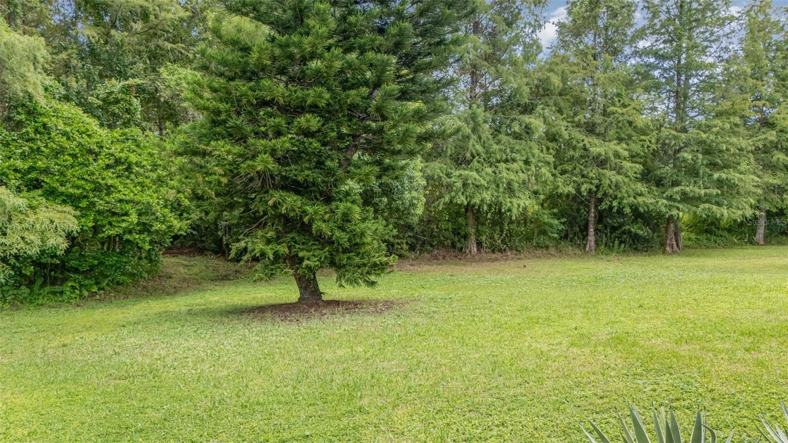 5710 MAGNOLIA BLOOM TER, OVIEDO, FL, 32765