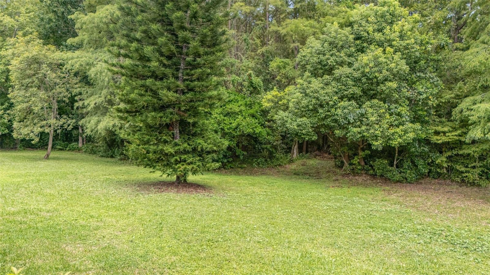 5710 MAGNOLIA BLOOM TER, OVIEDO, FL, 32765