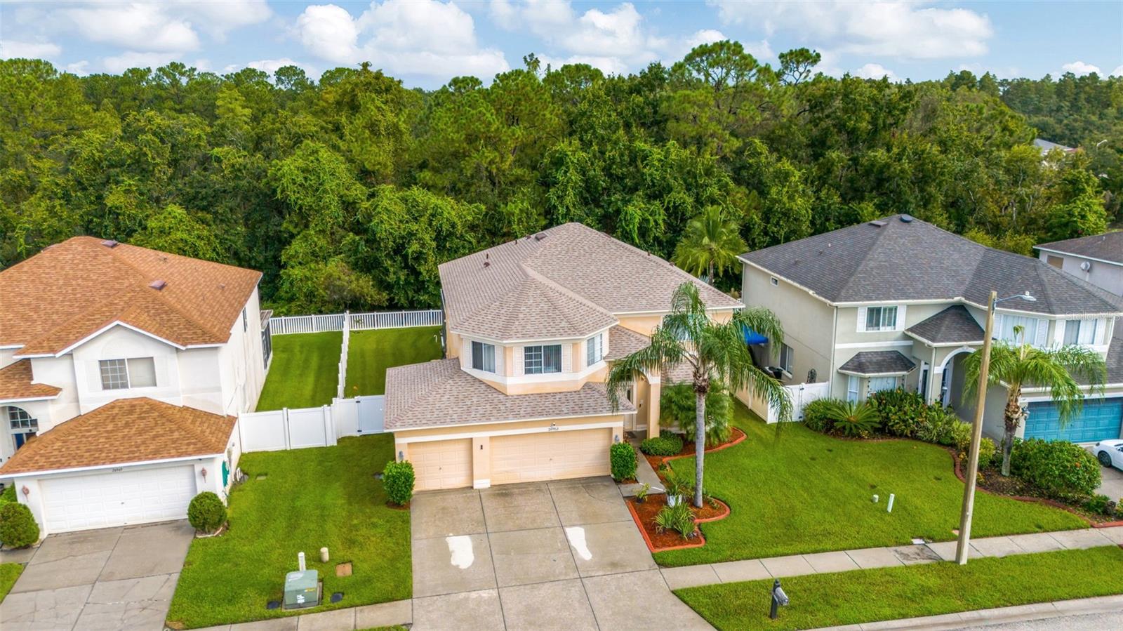(dry spots on driveway are from where cars were parked during the rain)
