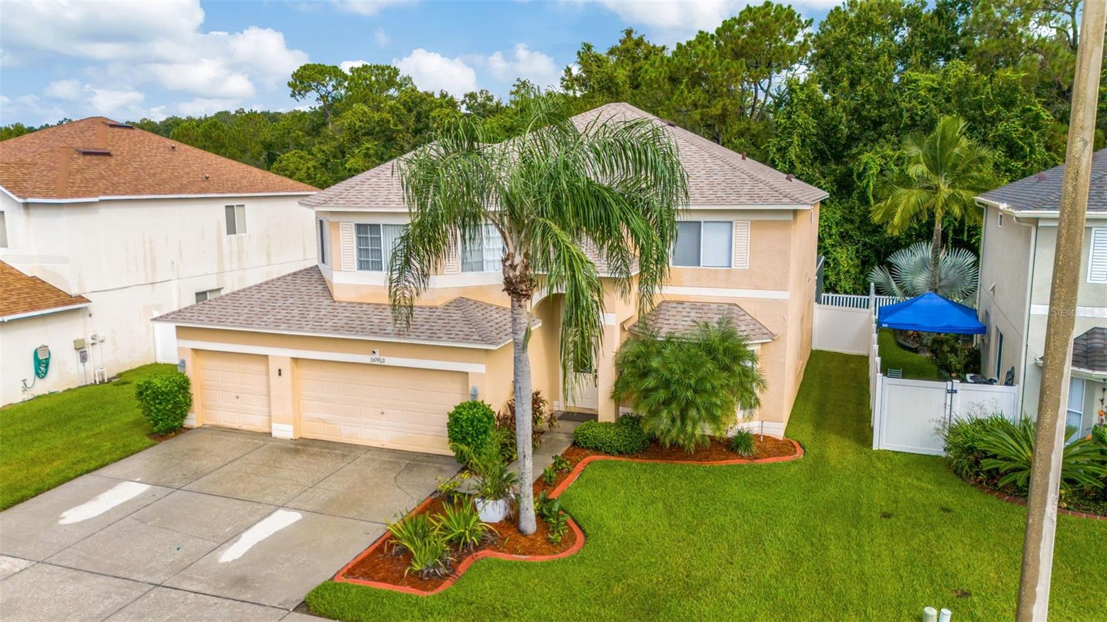 (dry spots on driveway are from where the cars were parked during rain)