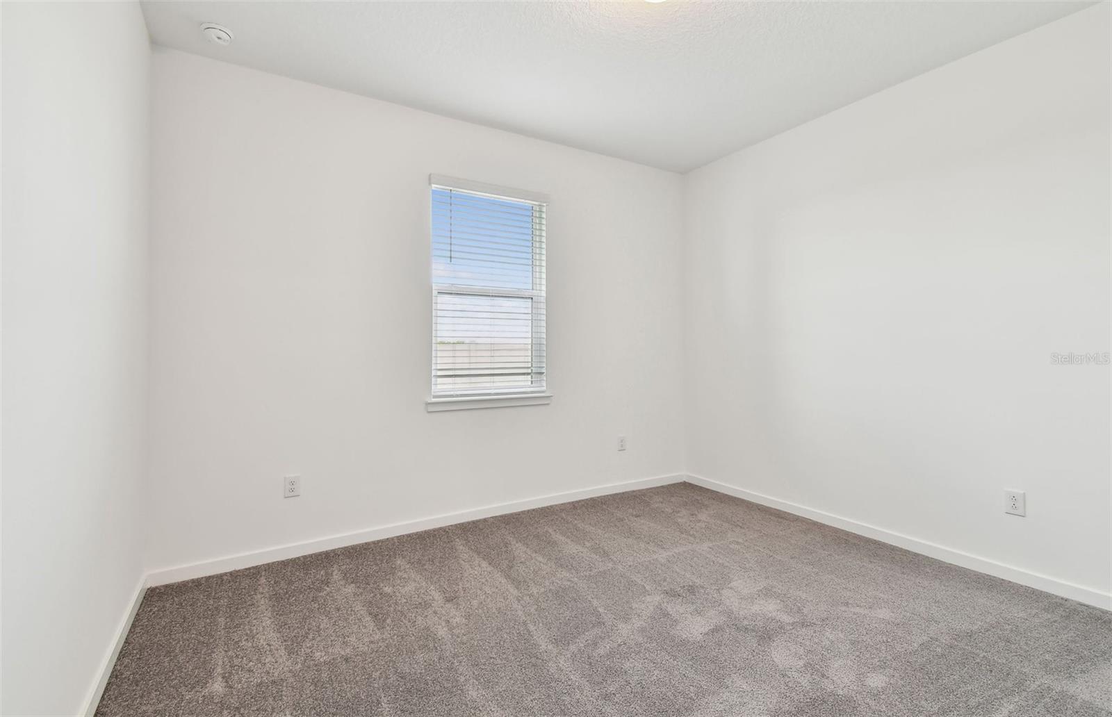 Model Representation