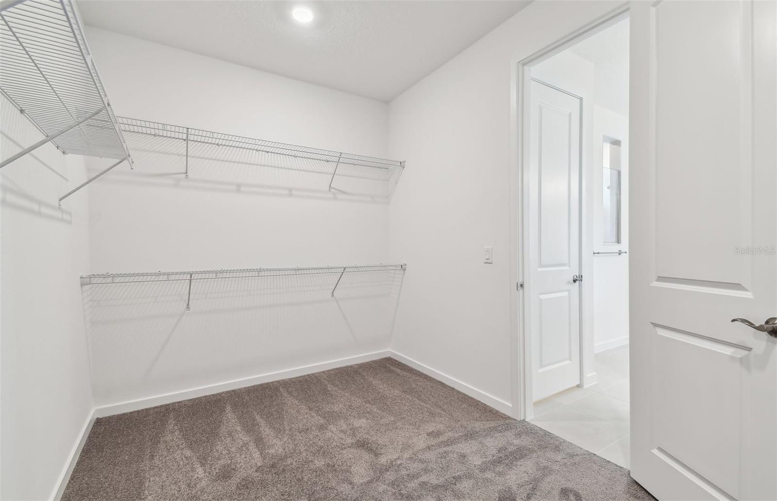 Model Representation