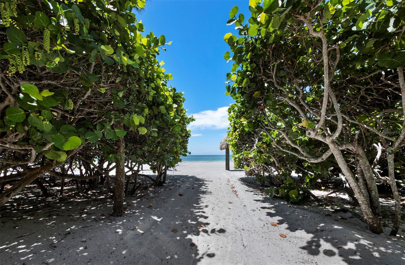 A4663390 Property Photo