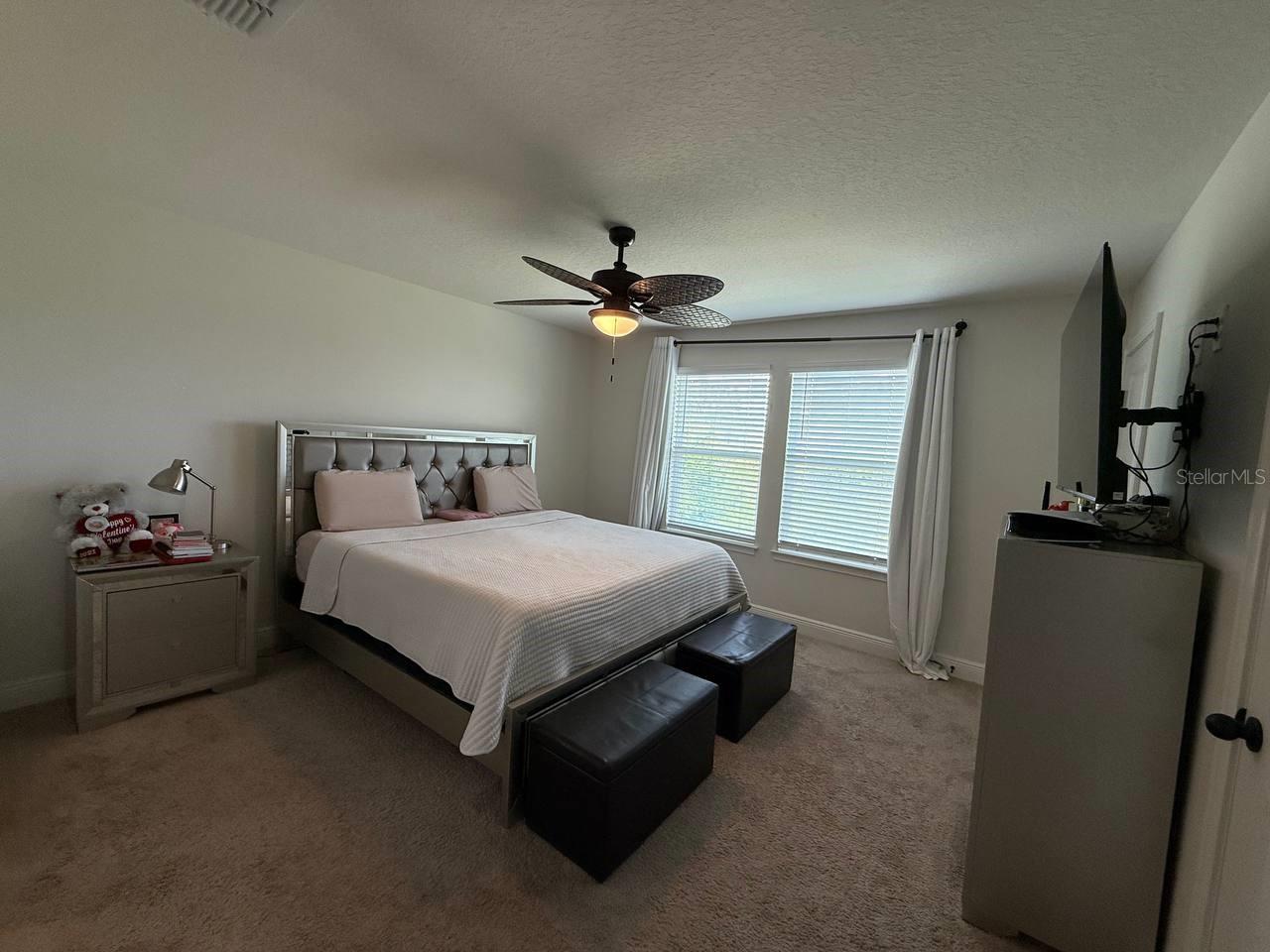 11648 CAMBIUM CROWN DR, RIVERVIEW, FL, 33569