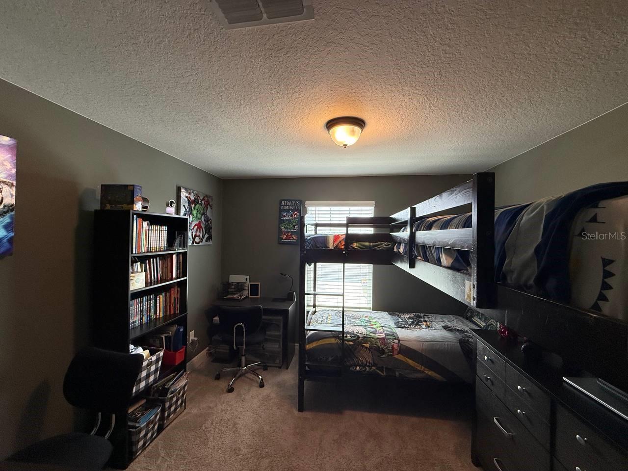 11648 CAMBIUM CROWN DR, RIVERVIEW, FL, 33569