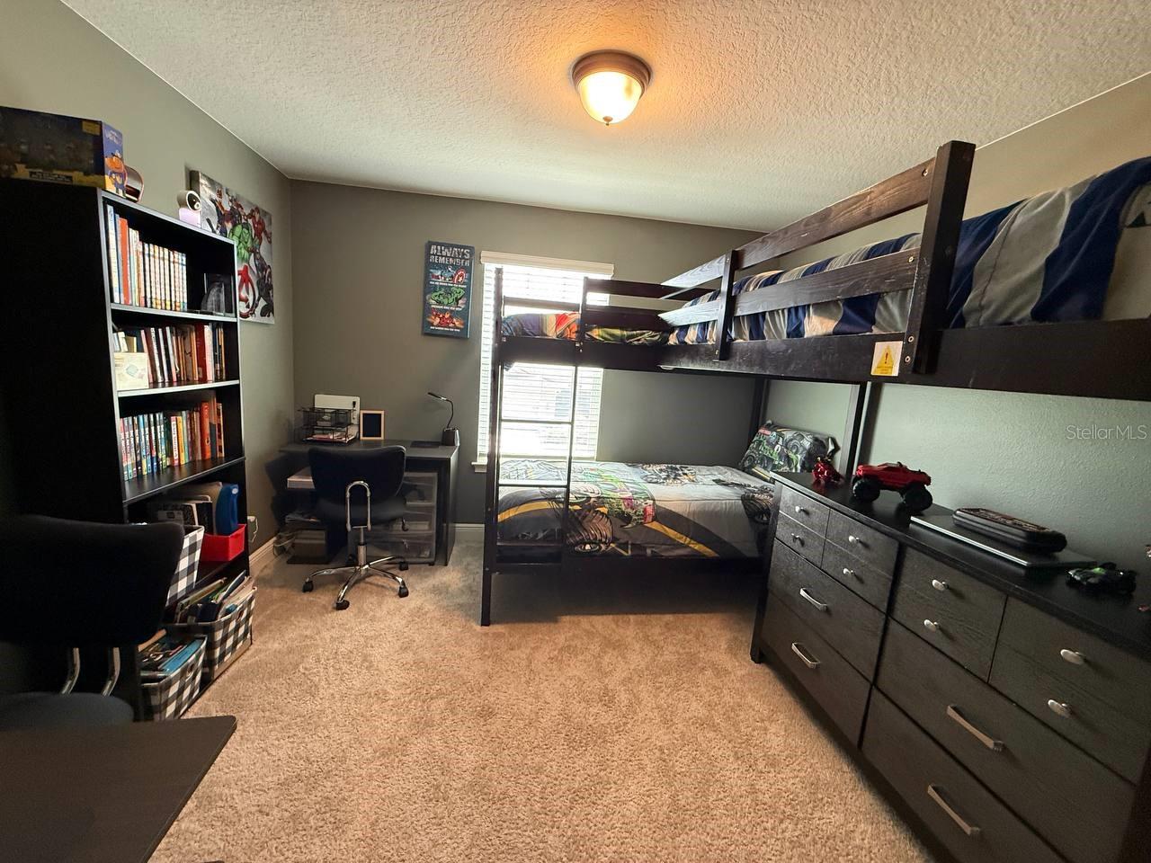 11648 CAMBIUM CROWN DR, RIVERVIEW, FL, 33569