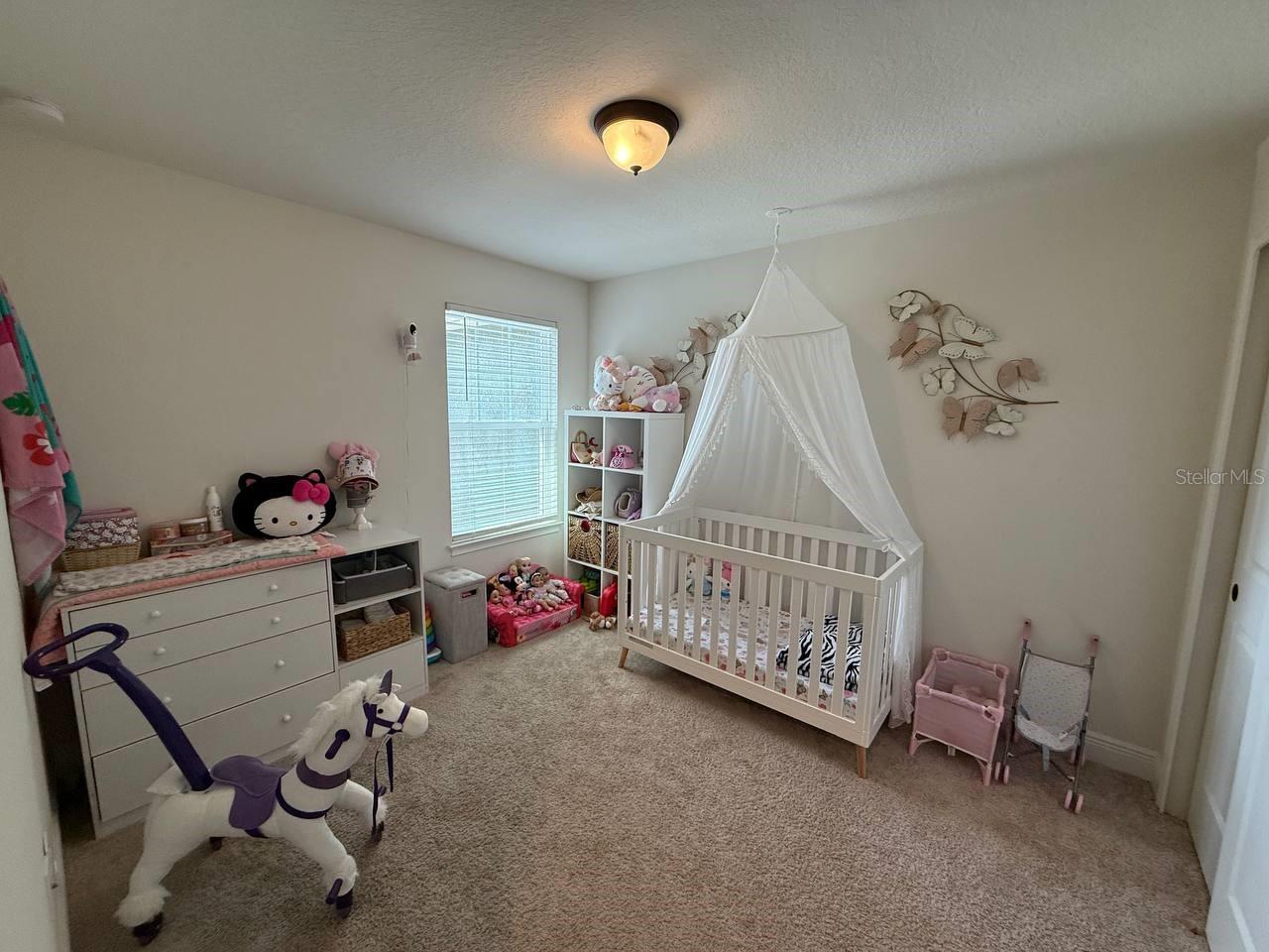 11648 CAMBIUM CROWN DR, RIVERVIEW, FL, 33569