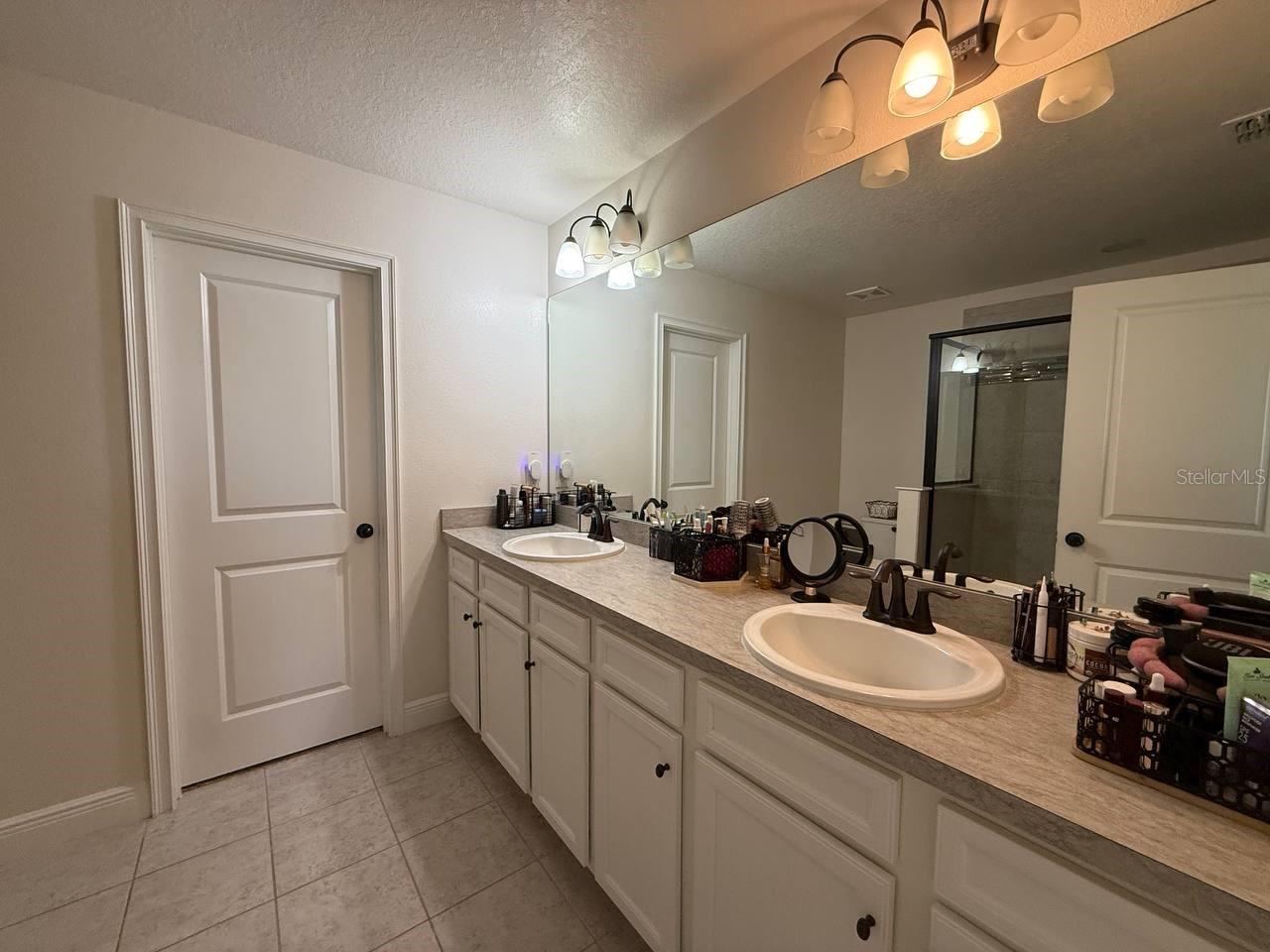 11648 CAMBIUM CROWN DR, RIVERVIEW, FL, 33569