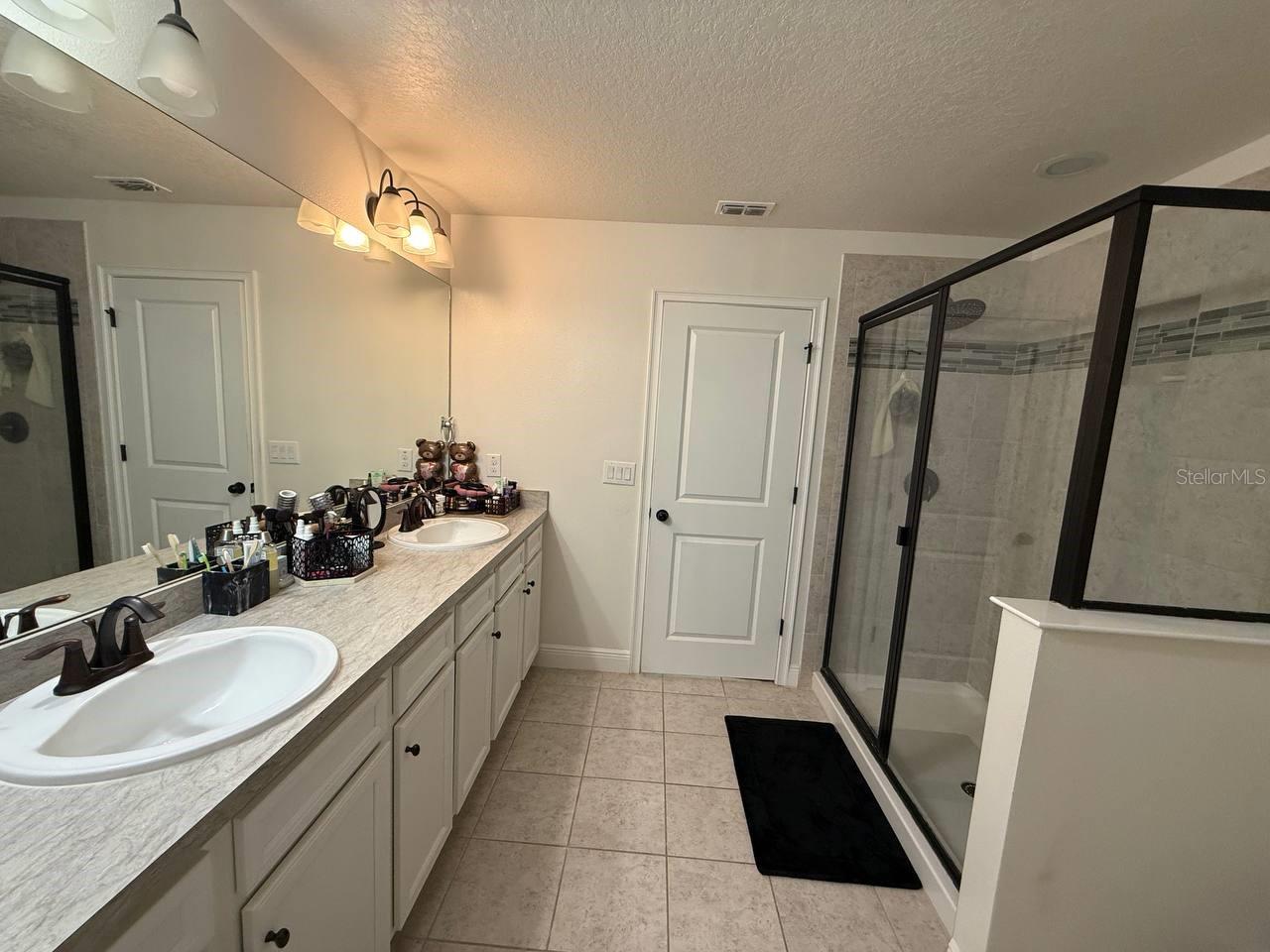 11648 CAMBIUM CROWN DR, RIVERVIEW, FL, 33569