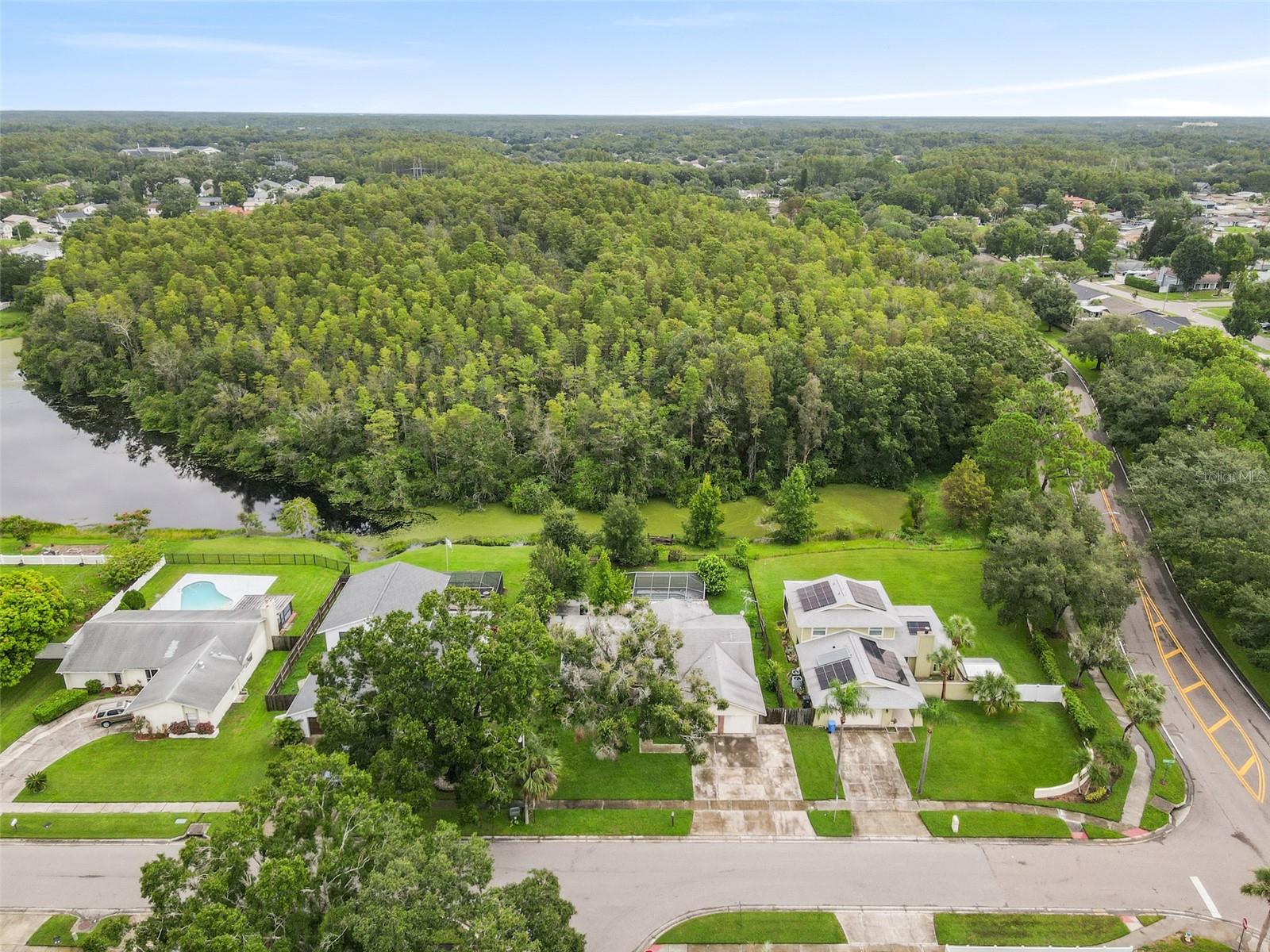 16503 FOOTHILL DR, TAMPA, FL, 33624