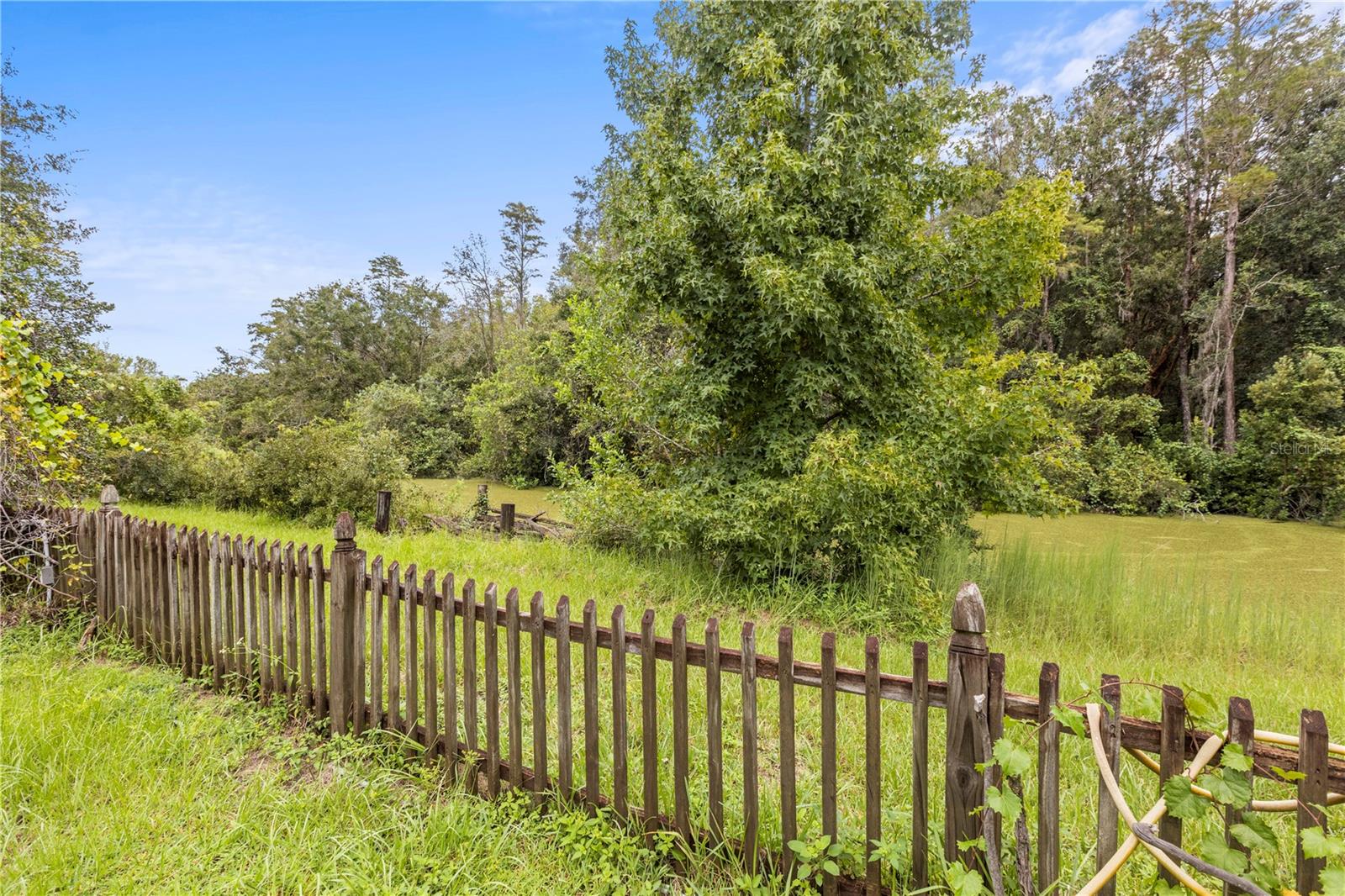 16503 FOOTHILL DR, TAMPA, FL, 33624