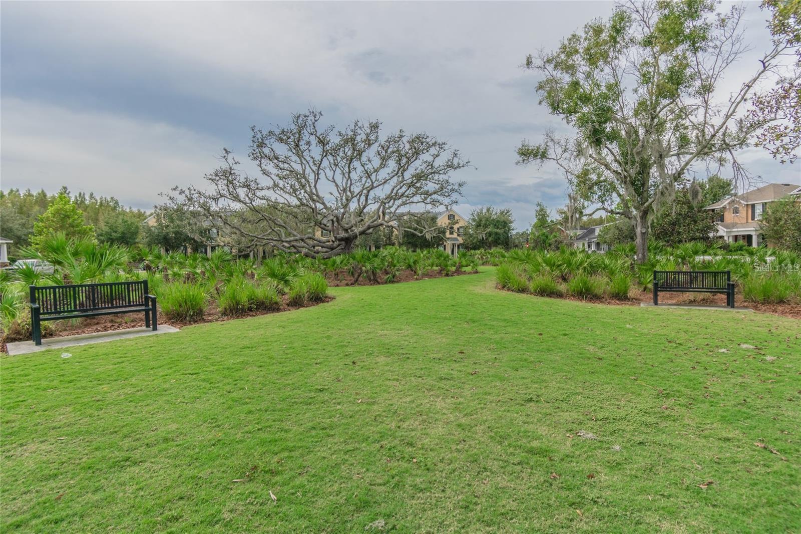 3211 TOWN AVE, NEW PORT RICHEY, FL, 34655