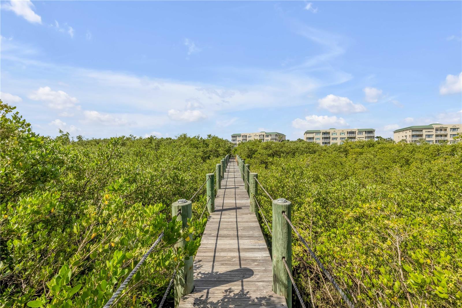 NS1085836 Property Photo