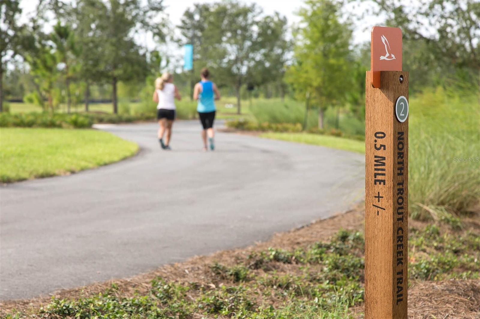 253 RIDGEWIND DR, ST AUGUSTINE, FL, 32092