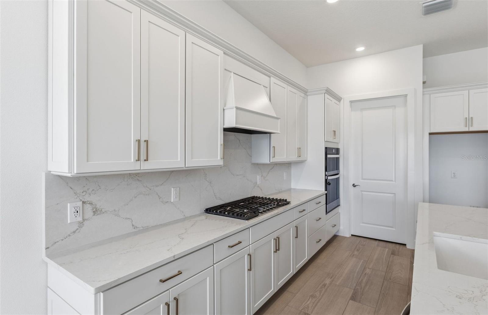 Stylish Built-In Kitchen