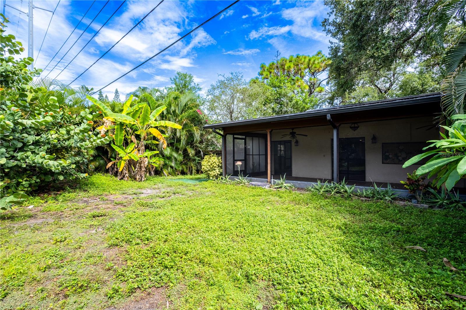 Landscaped Backyard!