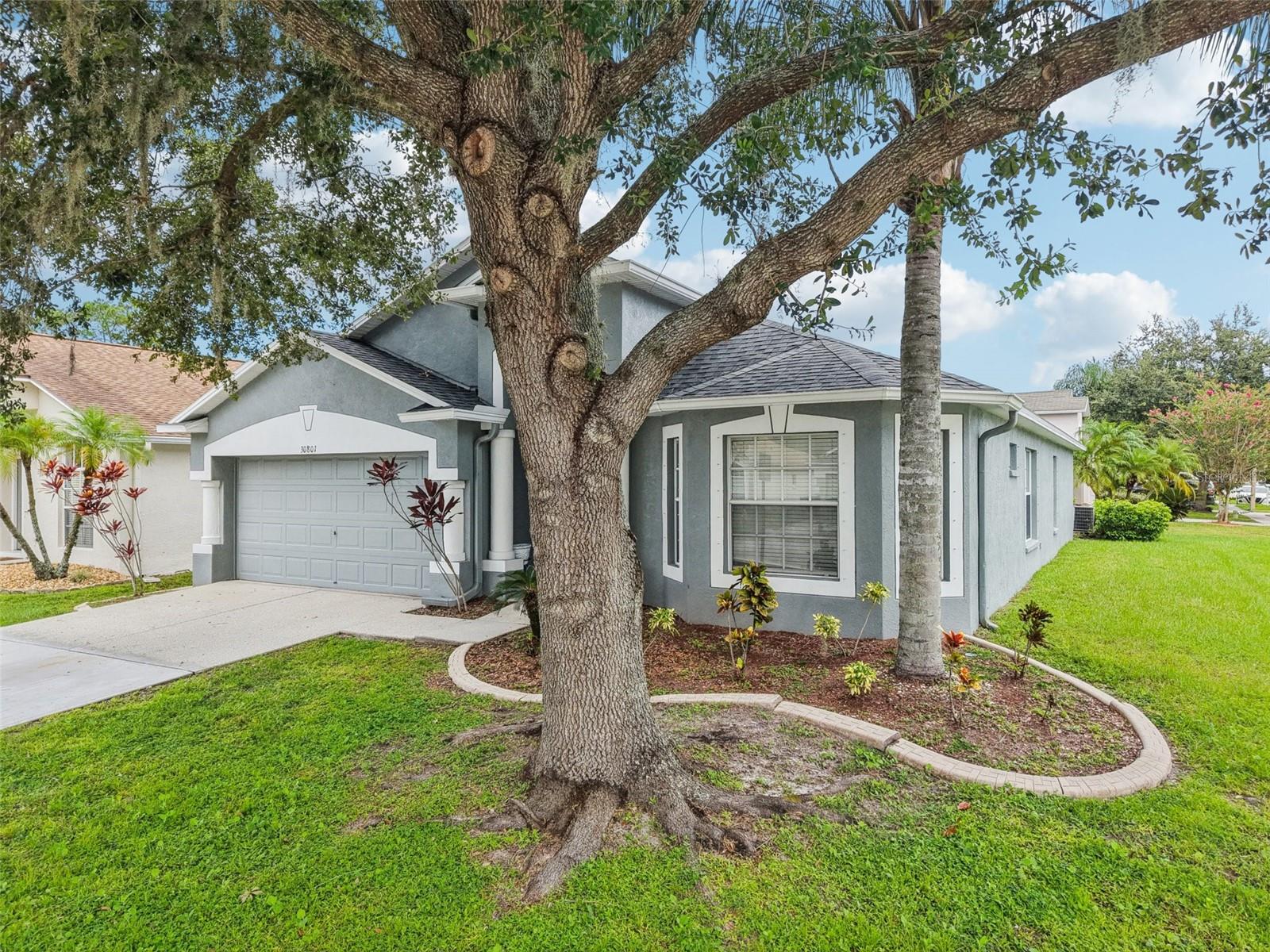 30801 BIRDHOUSE DR, WESLEY CHAPEL, FL, 33545