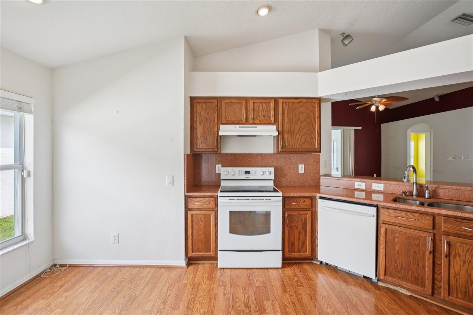 30801 BIRDHOUSE DR, WESLEY CHAPEL, FL, 33545