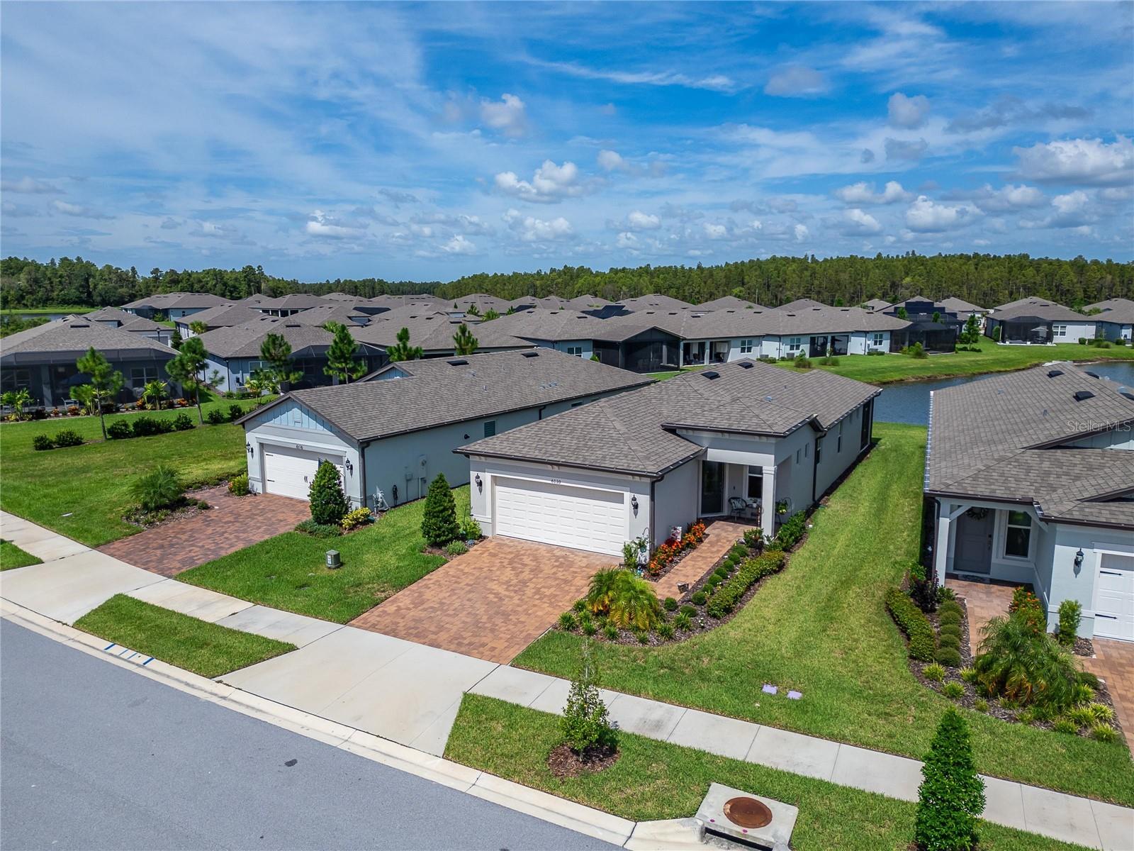 6110 SHOREBIRD BR, LAND O LAKES, FL, 34638