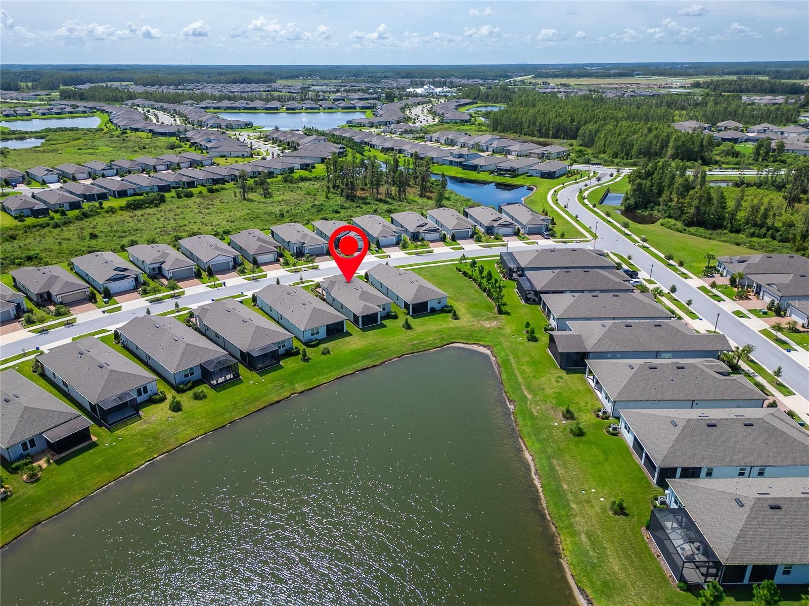 6110 SHOREBIRD BR, LAND O LAKES, FL, 34638