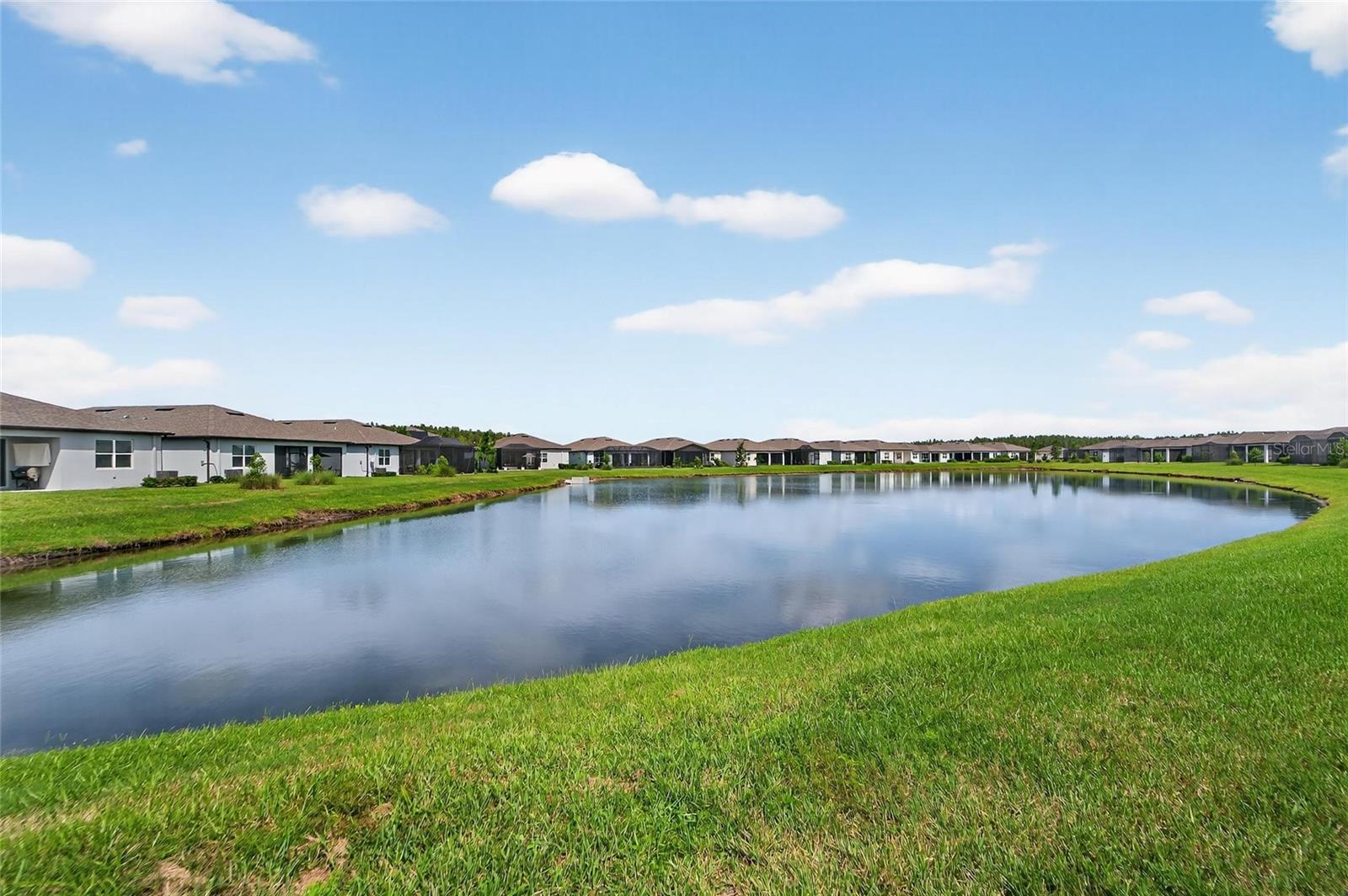6110 SHOREBIRD BR, LAND O LAKES, FL, 34638