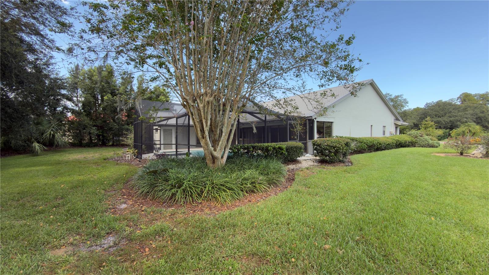 5040 PINELAKE RD, WESLEY CHAPEL, FL, 33543