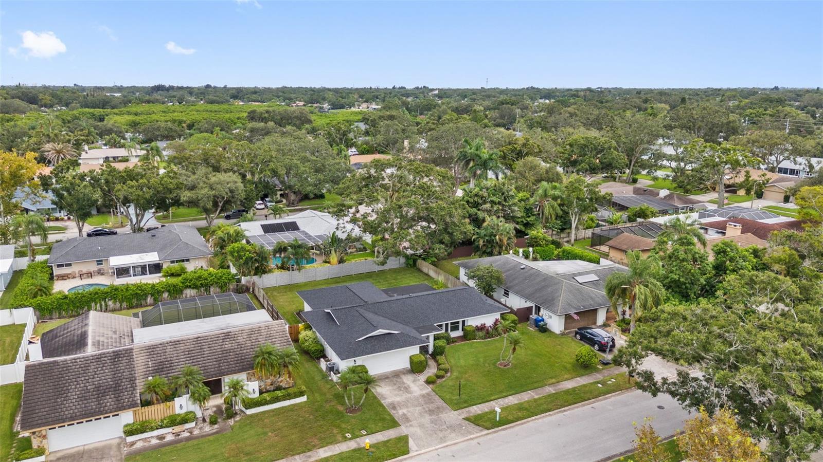 1877 DEL ROBLES DR, CLEARWATER, FL, 33764