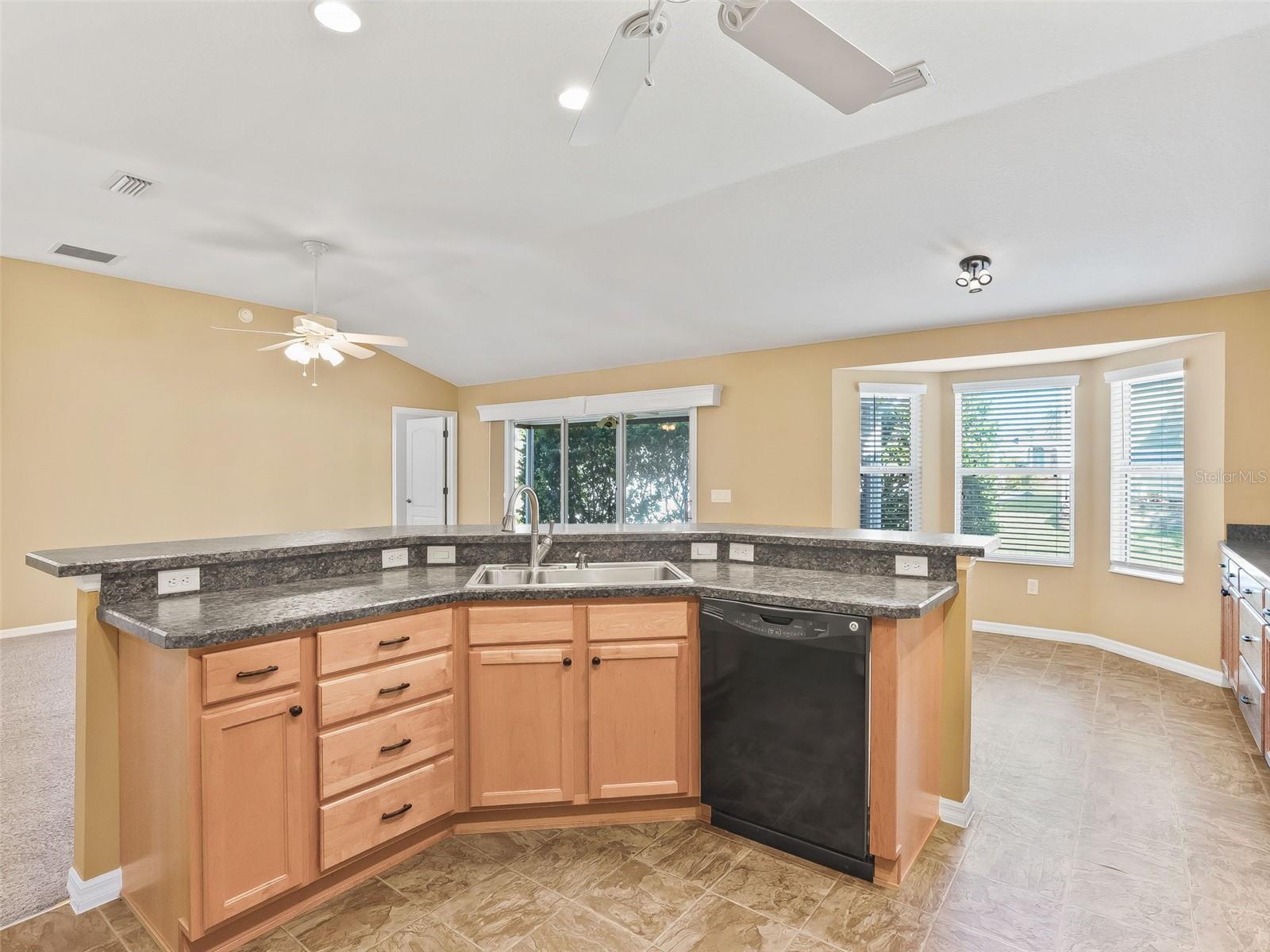 2530 HANLON TER, THE VILLAGES, FL, 32162