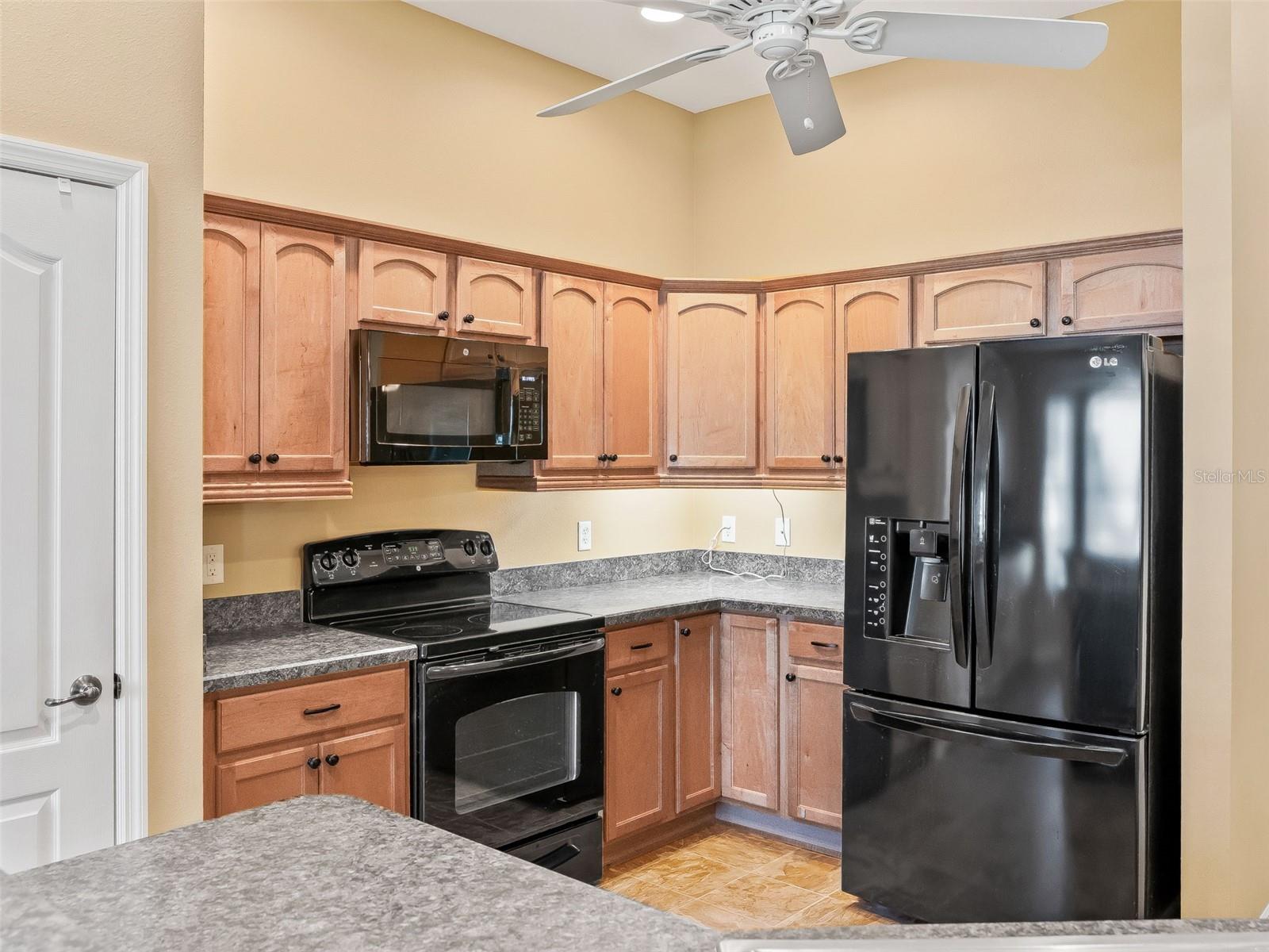 2530 HANLON TER, THE VILLAGES, FL, 32162