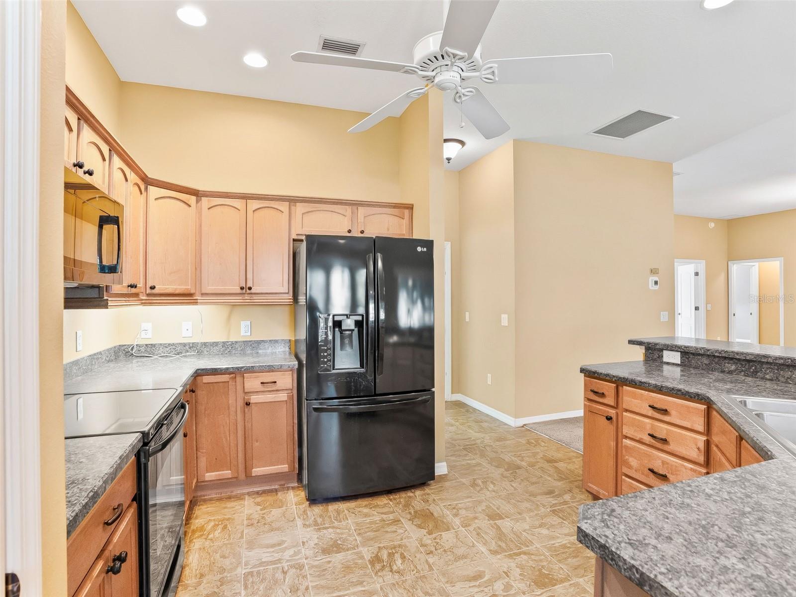 2530 HANLON TER, THE VILLAGES, FL, 32162