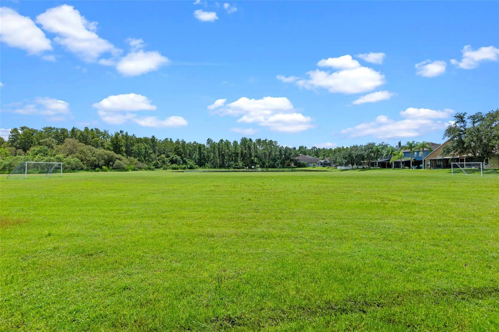 14208 MORNING FROST DR, ORLANDO, FL, 32828